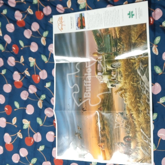 1000 Piece Buffalo Puzzle - Picture 4 of 4